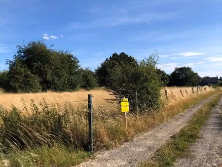 terrain à vendre à rue à l'auche mesnil-saint-blaise (vbe45833)