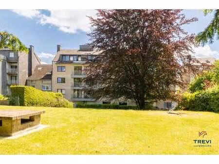 trevi luxembourg - 2 ch  jardin et terrasse - cave - pkg int