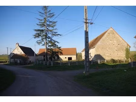 propriété sur 5 hectares de terrain