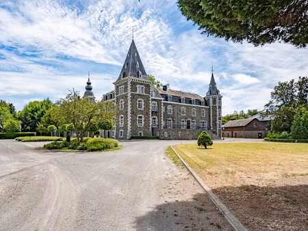 château sur +/- 8 hectares