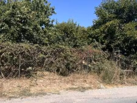 vente terrain à laroque (34190) : à vendre / 1165m² laroque