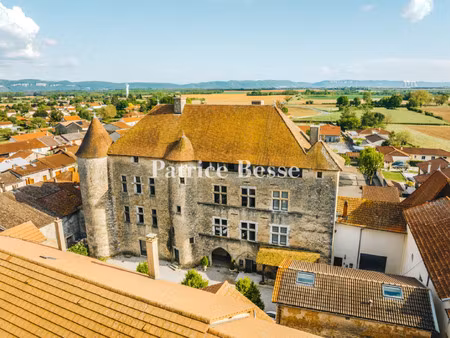 château à vendre à lyon 1er