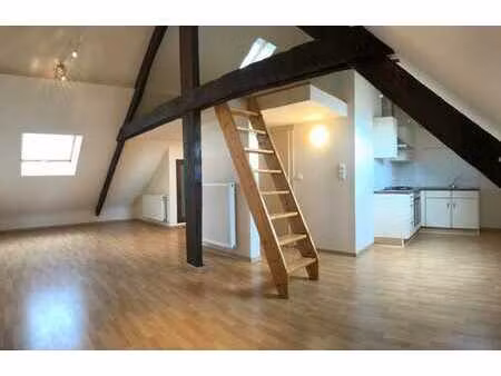 superbe studio duplex de caractère 70 m² centre-ville