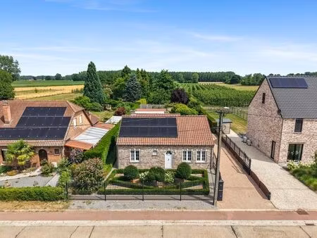 maison à vendre à geetbets € 365.000 (lq7ku) - de woonmakers | zimmo