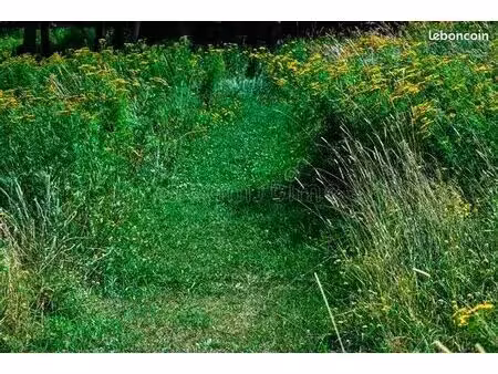 terrain à louer 2000m²