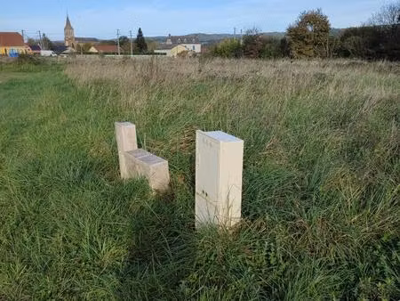terrain viabilise / bordes (65)