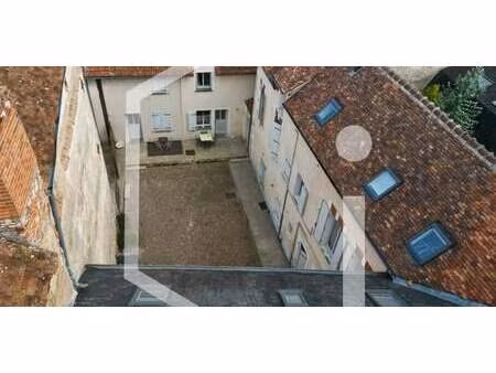 propriété chatillon-sur-loire (45)