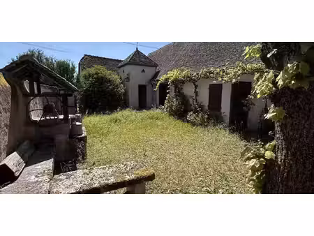corps de ferme avec jardin saint-benoît-sur-loire (45)