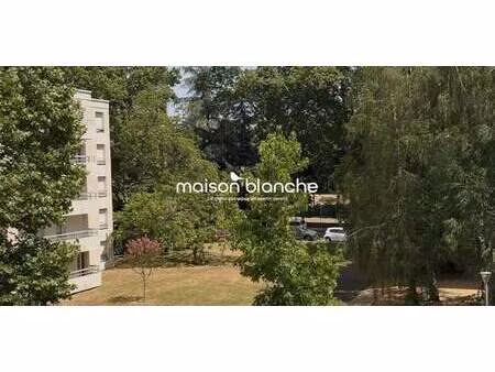 appartement centre - angers (49)
