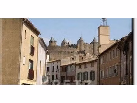 propriété carcassonne (11)