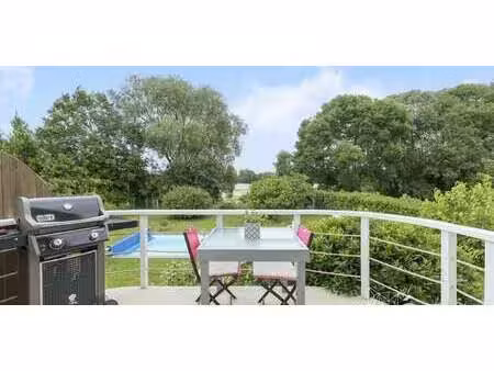 maison avec piscine et jardin les ponts-de-ce (49)
