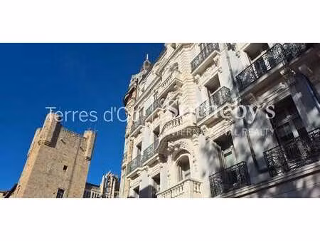 propriété narbonne (11)