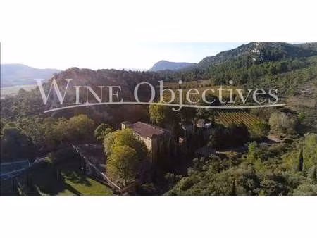 vignoble avec piscine et dépendances narbonne (11)