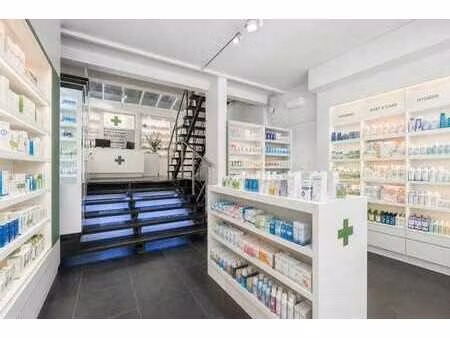 immeuble de rendement comprenant un local commercial et un …