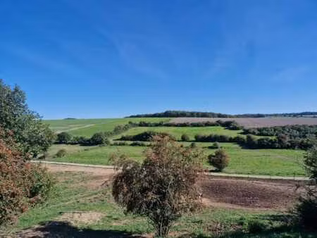 terrains agricoles - thy-le-bauduin (2ha23a56ca) - lot 2