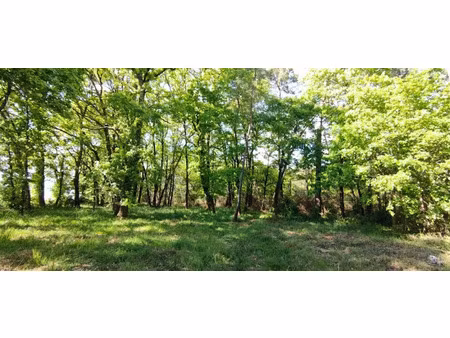 vente terrain 2975 m² à villefranche-de-lonchat (24610)  38 990 €