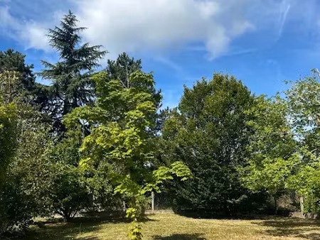 vente terrain 490 m² à cheillé (37190)  40 000 €