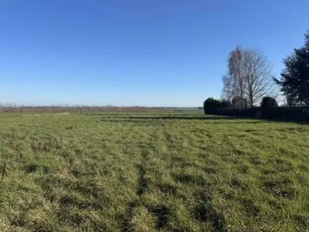 vente terrain 1593 m² à awoingt (59400)  60 500 €