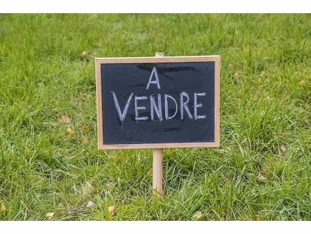 vente terrain 369 m² à sainte-foy (85150)  110 600 €