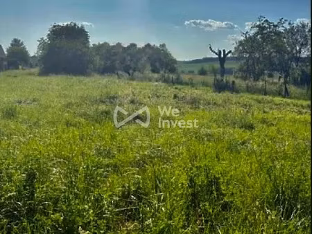 vente terrain à batir 2399 m² à doncourt-lès-longuyon (54620)  173 000 €