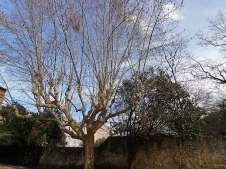 vente terrain 618 m² à le beausset (83330)  390 000 €