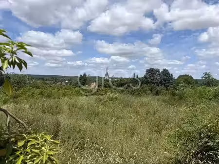 vente terrain à batir 10000 m² à anet (28260)  995 000 €