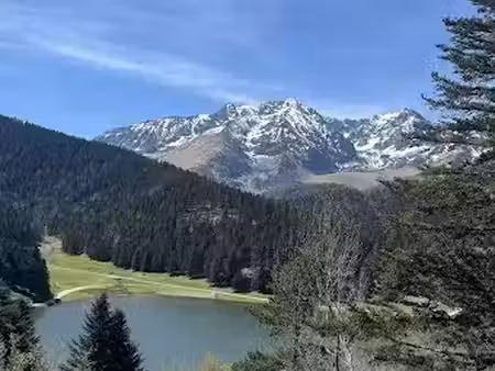 vente locaux professionnels 3 pièces 43 m² à campan (65710)  240 000 €