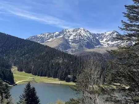 vente locaux professionnels 3 pièces 43 m² à campan (65710)  260 000 €
