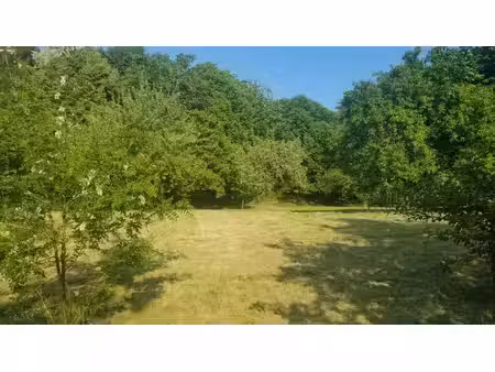 terrain