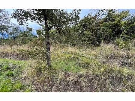 terrain à vendre