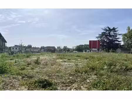 terrain