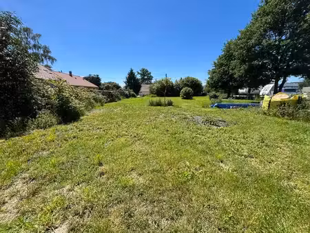 terrain