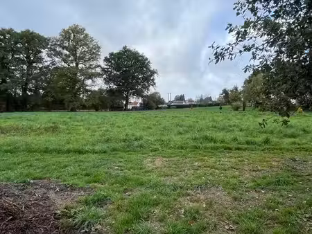 terrain