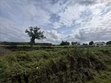 terrain