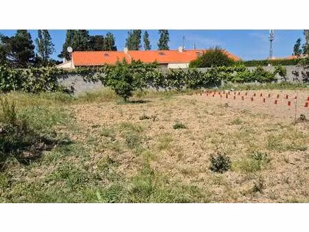 terrain à vendre