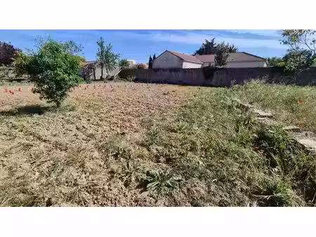terrain