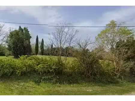 terrain
