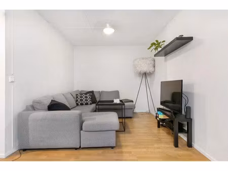 location meublée appartement 1 pièce 25 m² à montpellier (34000)  500 €
