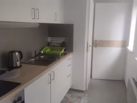 location meublée appartement 1 pièce 28 m² à sarreguemines (57200)  520 €