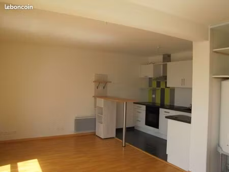 grand appartement 2 pièces de 45m²