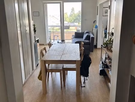 appartement en location