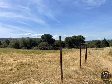 terrain agricole - sigean