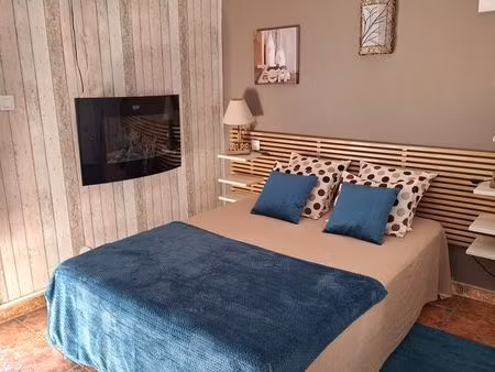 joli studio rénové climatisé 3* - parking privé