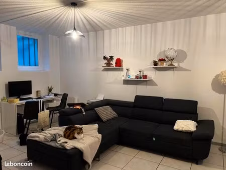 appartement t3 rénové alès centre ville