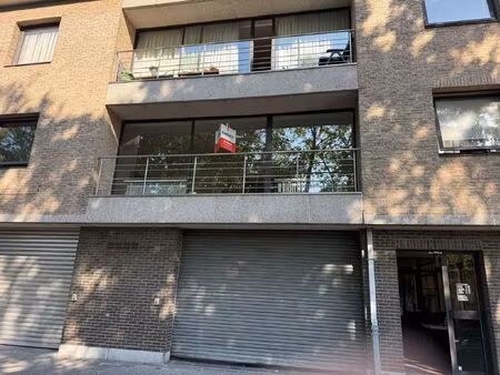 appartement à louer à oudebaan 41 brasschaat (rbw46396)