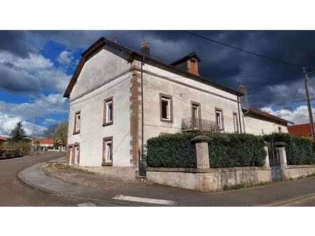 maison saint loup sur semouse 8 pièce(s) 252 m2 jardin