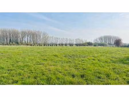 unieke combinatie van bouwgrond en landbouwgrond