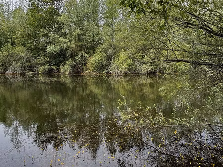 etang