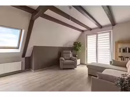 villa de luxe de 9 pièces en vente obernai  grand est