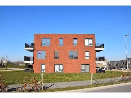 appartement te huur in tongeren met 1 slaapkamer